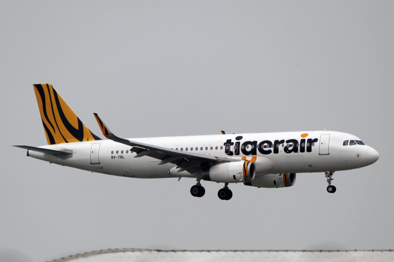 Tigerair Is Now Offering Regular Discounted Airfares Every Saturday