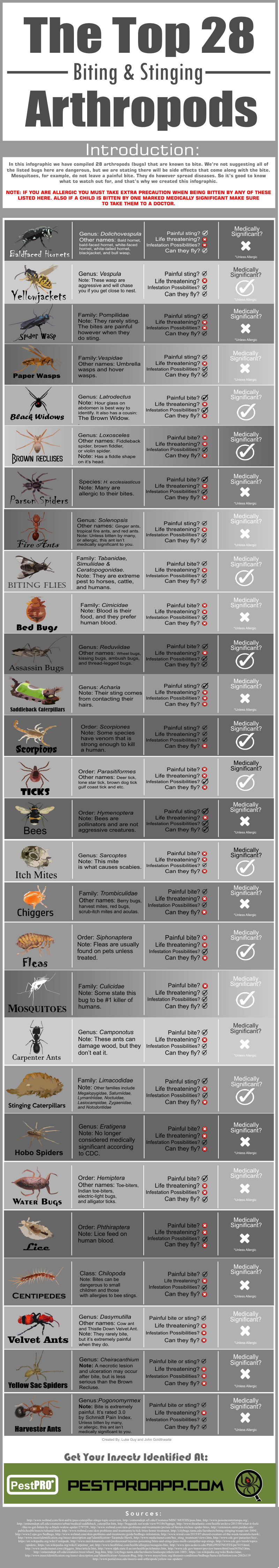A Visual Guide To The Most Common Biting And Stinging Bugs