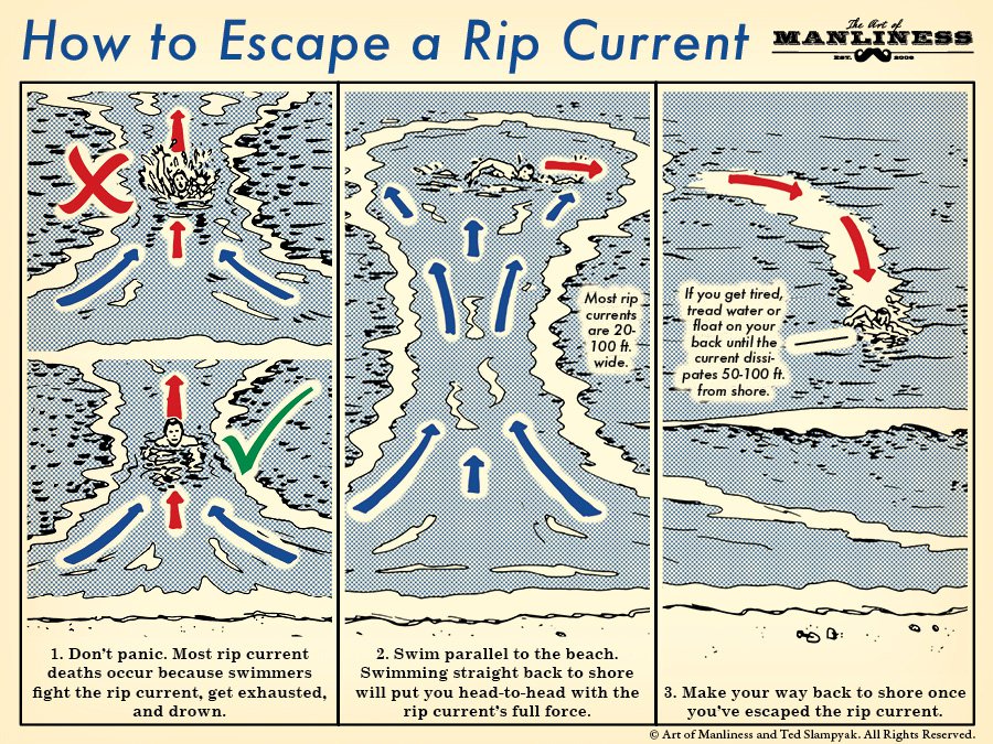 Learn How To Escape A Rip With This Handy Illustrated Guide