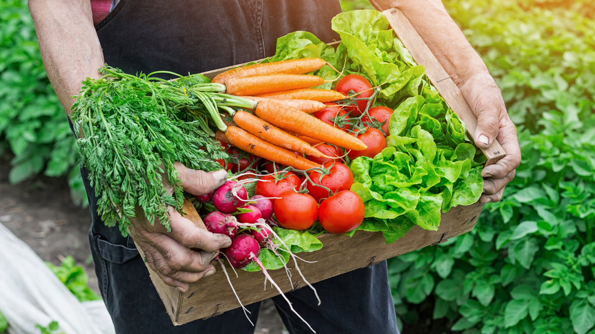 Ask LH: Do I Need A Licence To Sell Homegrown Food?