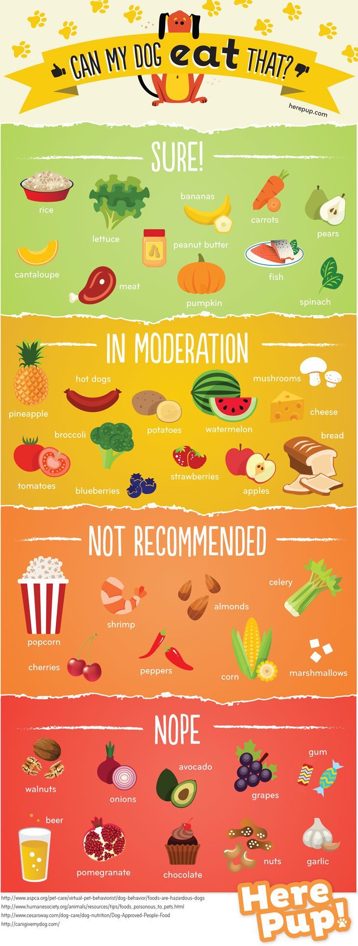 The Common Foods Dogs Can and Can't Eat Infographic