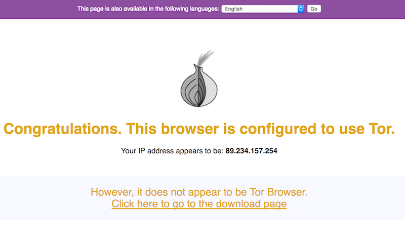 Tor browser raspbian mega check browser tor megaruzxpnew4af