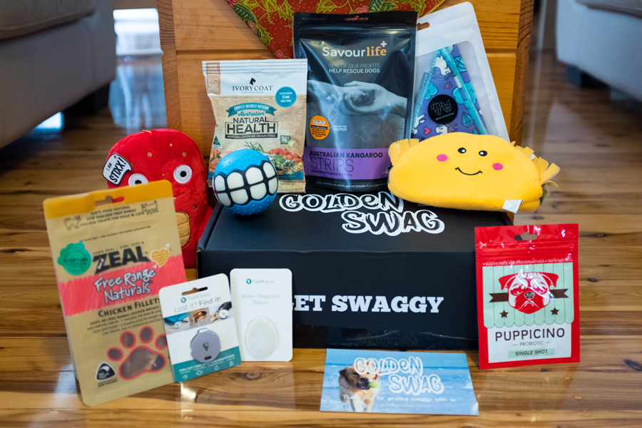 ‘Golden Swag’ Is Love In A Subscription Dog Box