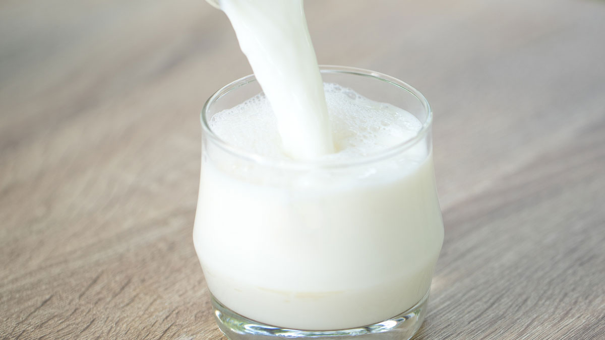 Cow’s Milk Is Not Necessarily Bad For You