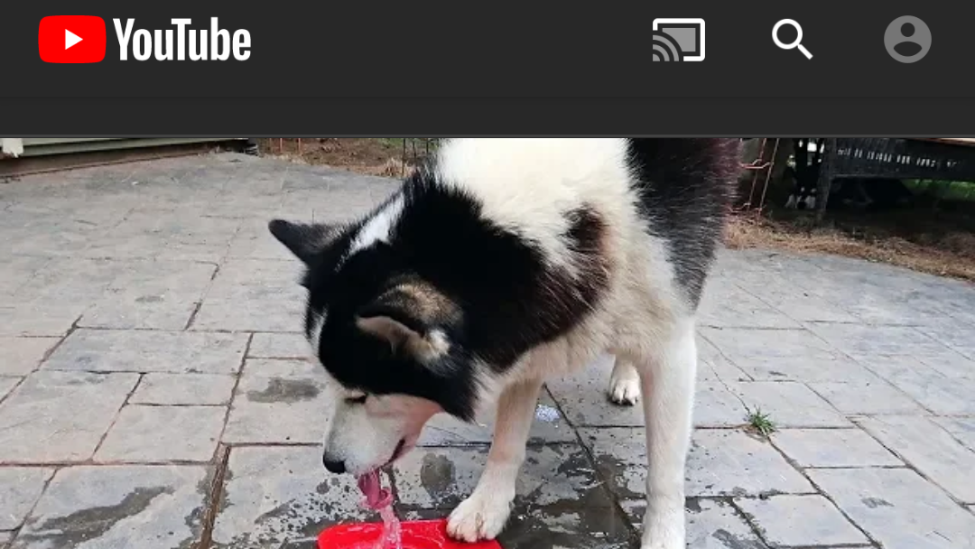 Get YouTube’s Dark Mode (And Ditch Ads) With ‘YouTube Vanced’ For Android