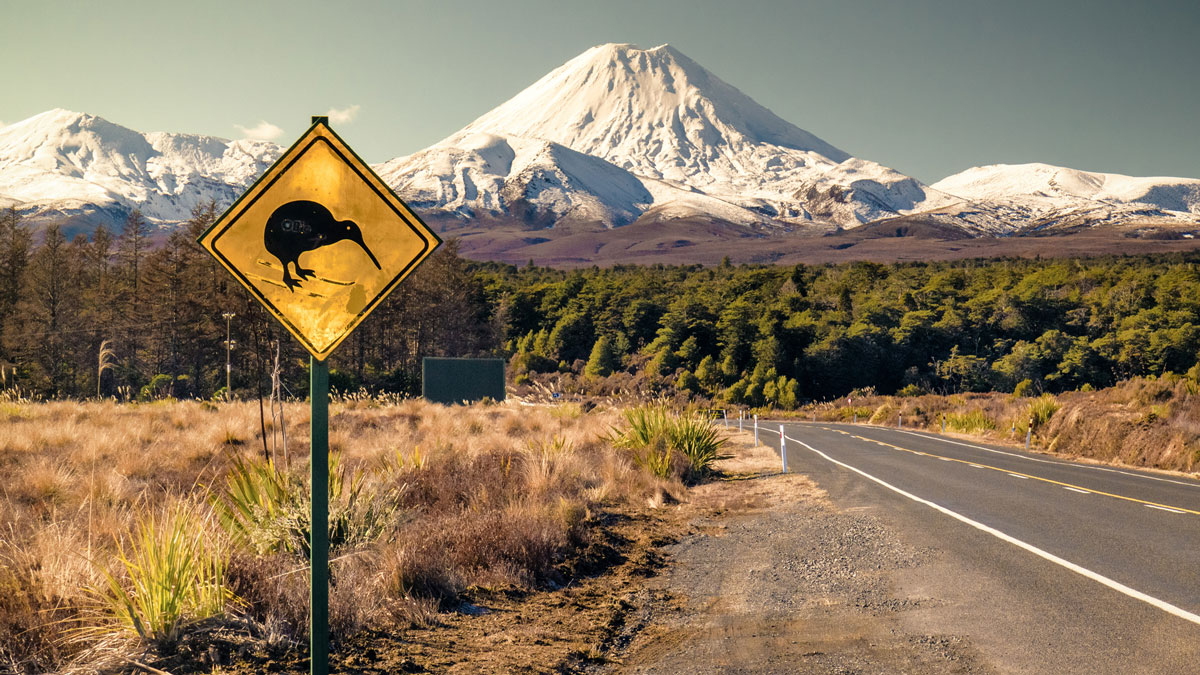How To Move From Australia To New Zealand