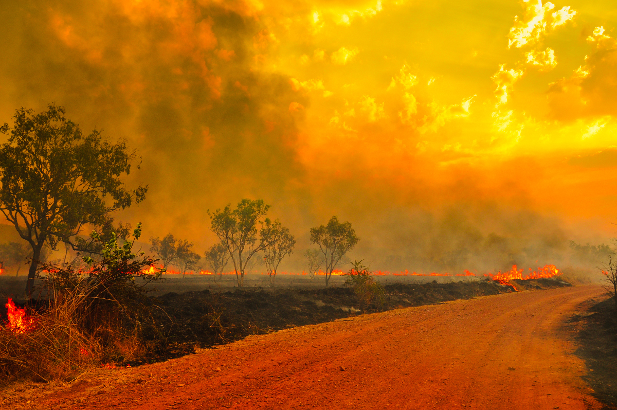 Bushfire Alert: The Sites And Apps You Need