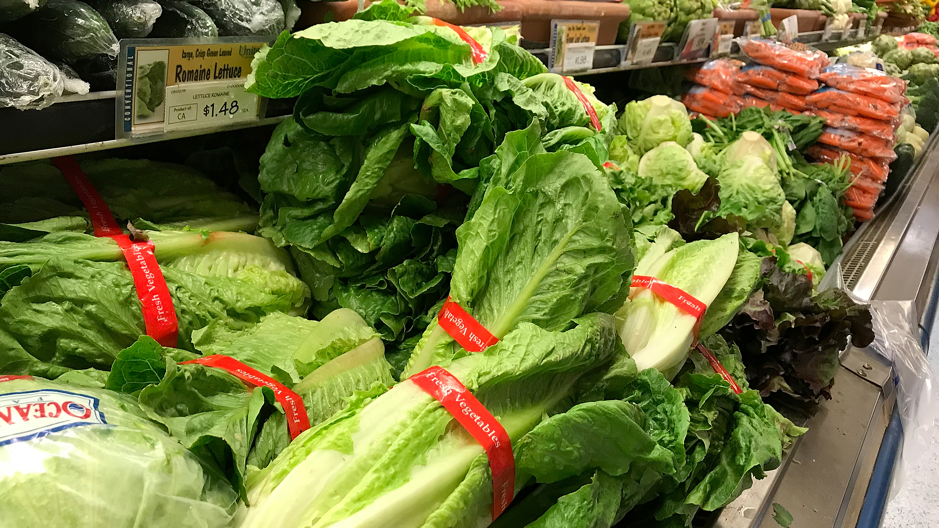 Here’s What’s Wrong With Cos Lettuce
