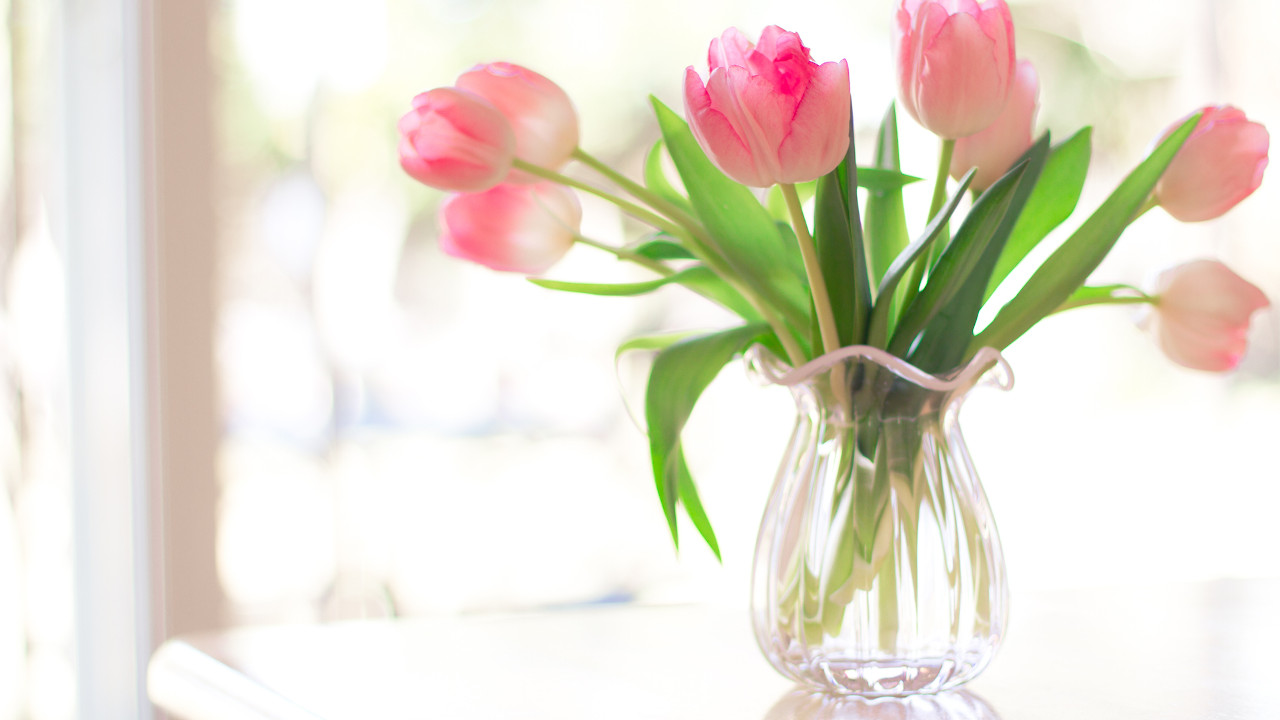 Pink tulips, mother's day flowers