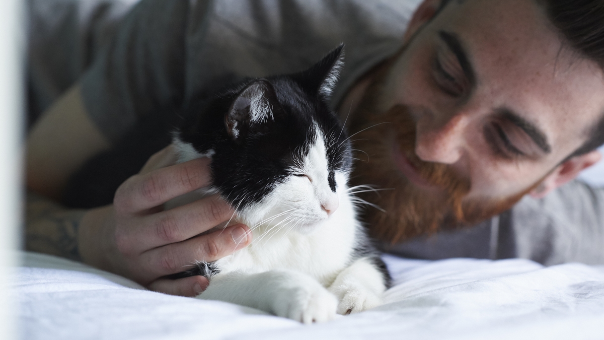 What Happens When Guys Add Their Cats to Their Dating App Profiles