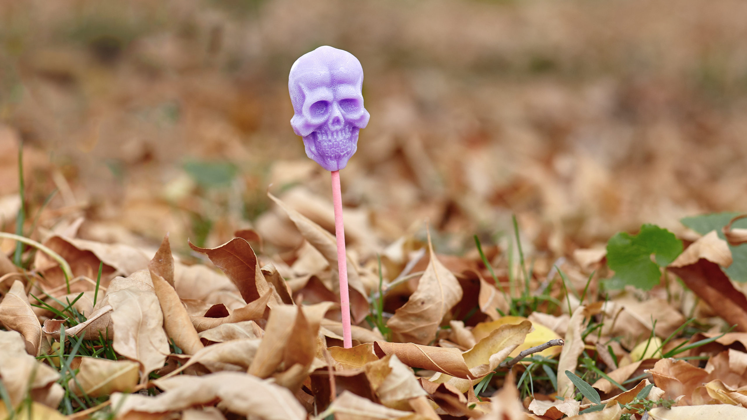 Don’t Stake Lollies into the Ground on Halloween, FFS