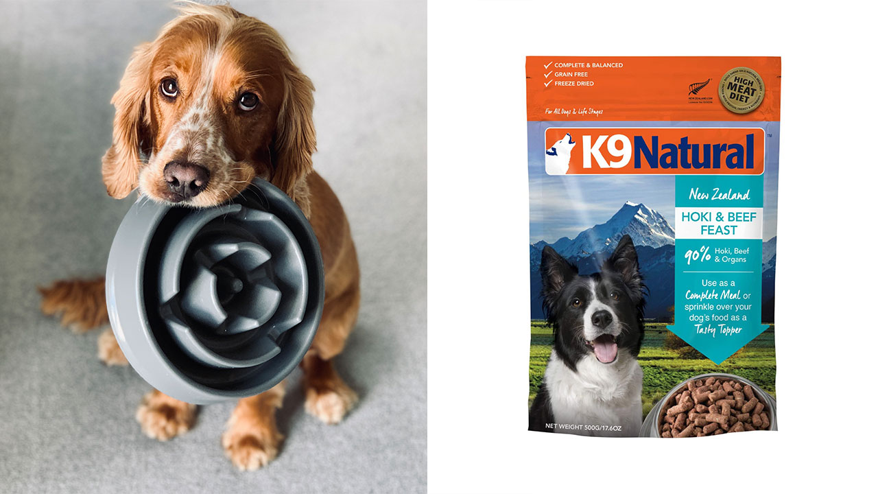 How Does Freeze-Dried Dog Food Stack Up Against the Fresh Kind?