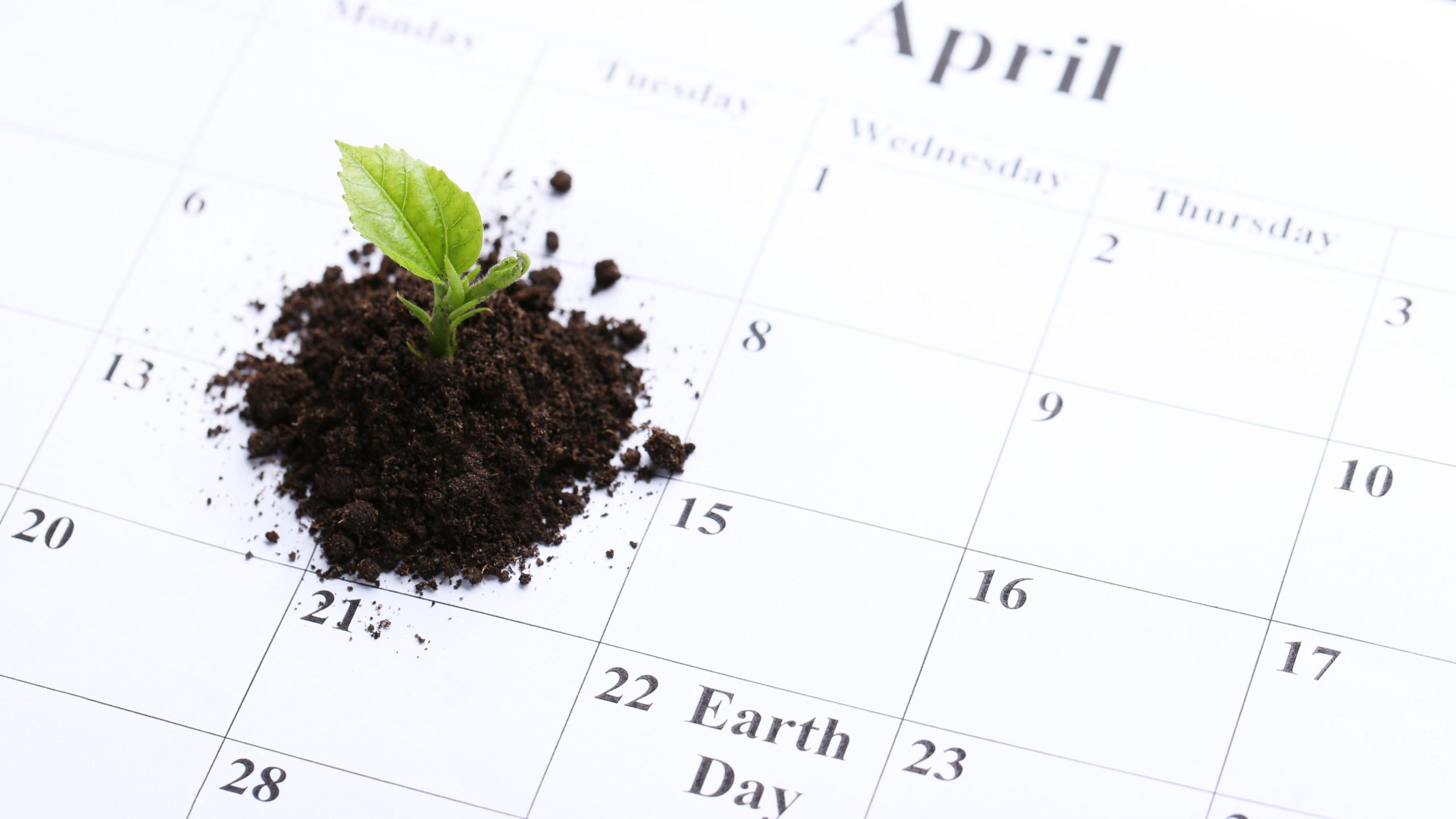 Generate a Custom Planting Calendar With This Site
