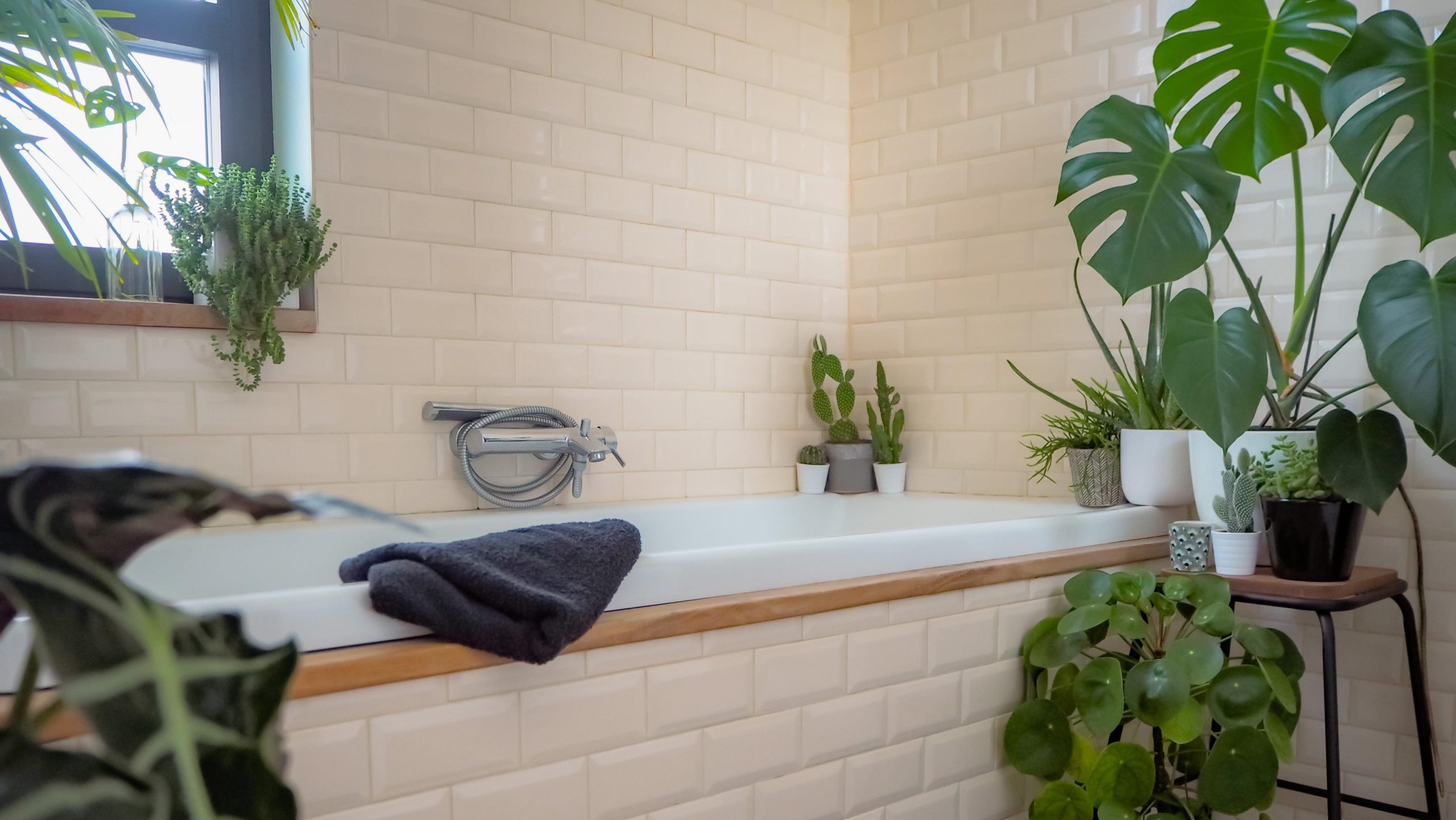 These High Humidity Plants Will Thrive in Your Bathroom
