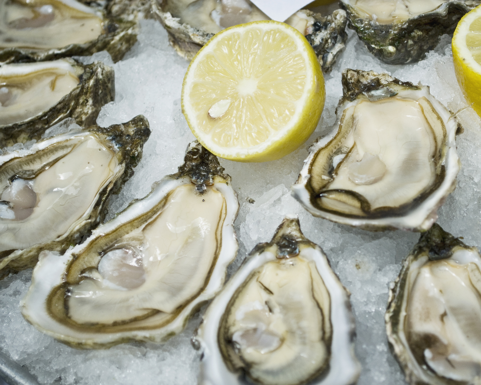 How To Shuck an Oyster Without Stabbing Yourself