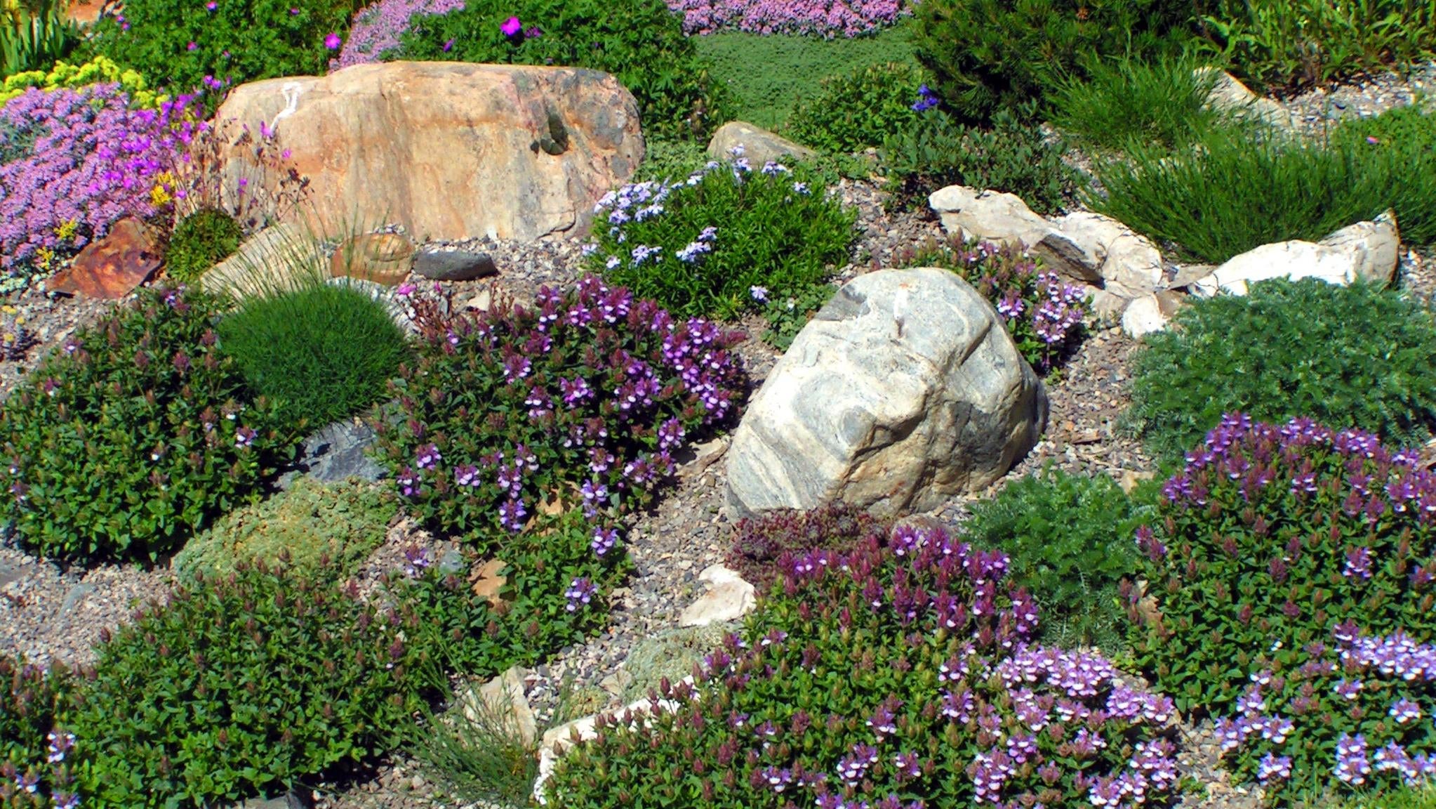 You Need a Rock Garden to Save Yourself From so Much Yard Work