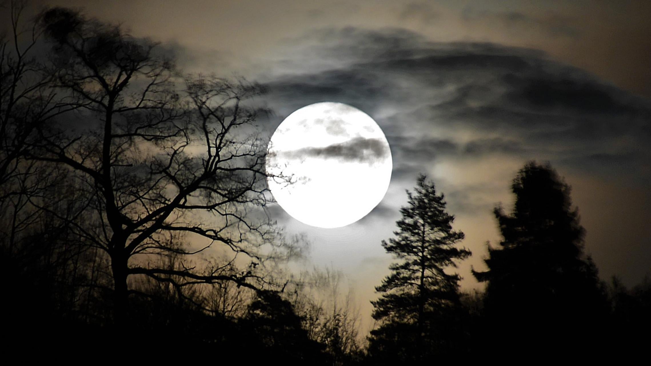 When to See the ‘Cold Moon’ in December