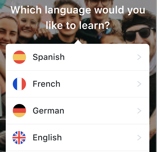 learn a language