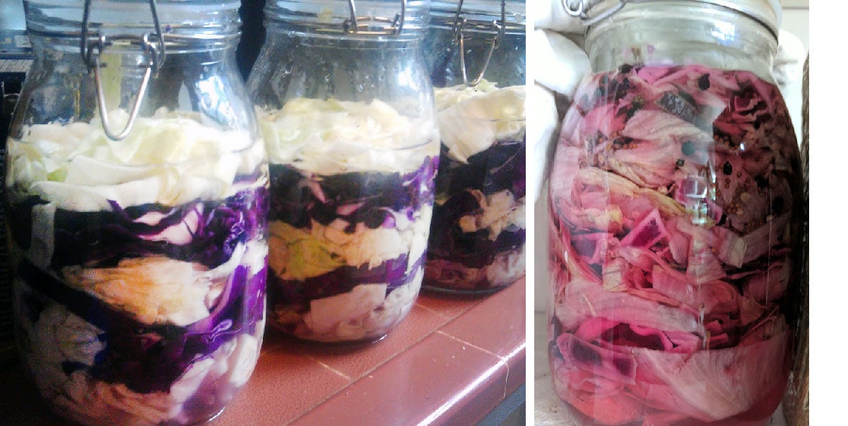 On the left, layered green and red cabbage kraut on day one. On day eight, the kraut has a unified pink colour and is ready for eating.  (Photo: Amanda Blum)