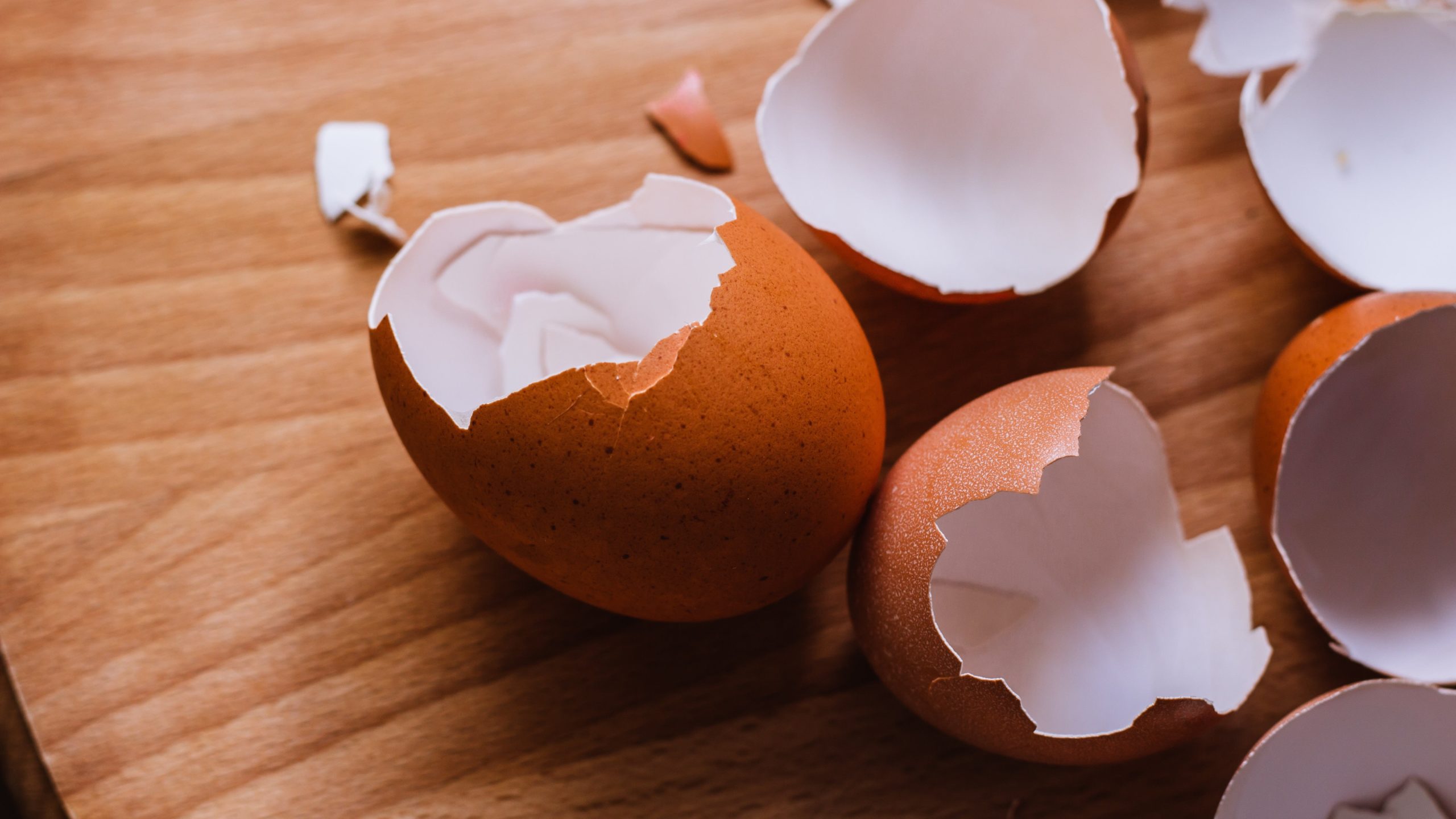 Why You Should Never Put Eggshells Back in the Carton