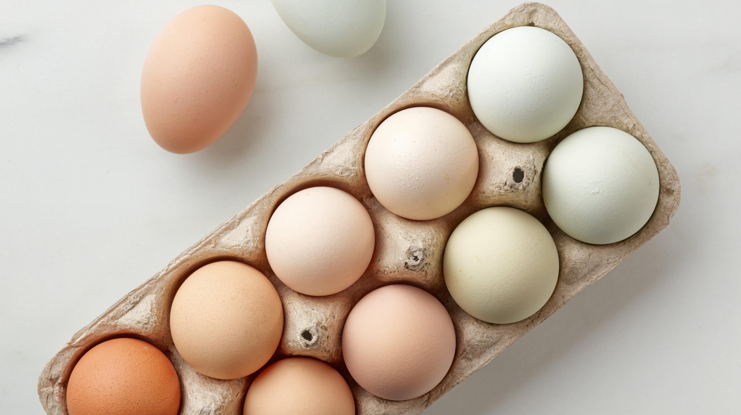 Why Do Eggs Come in Different Colours (and How Much Does It Matter)?