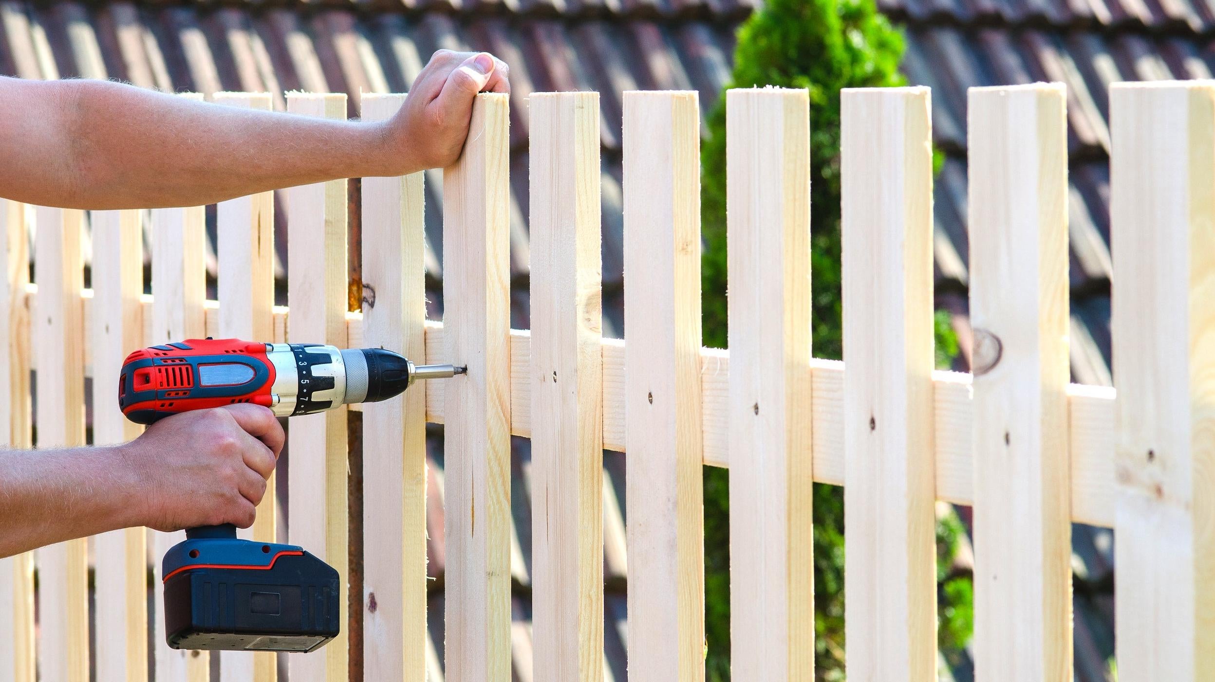 How to Pick the Right Wood for Your Backyard Project